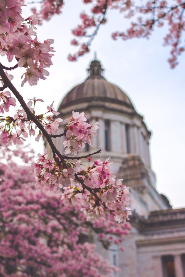 Military Spouses Residency Relief Act Washington State