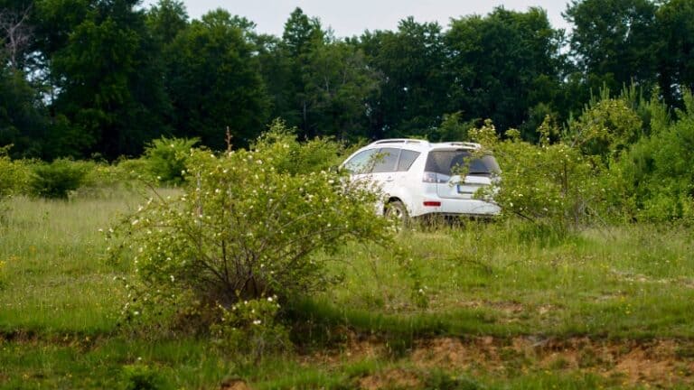 Abandoned vehicle left unattended in a rural field